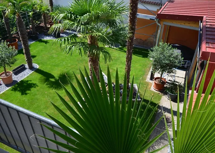PalmGarden