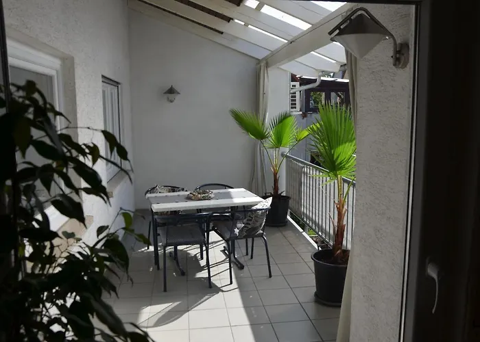 Palmgarden