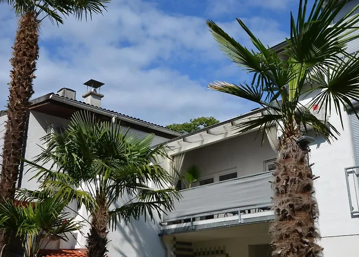 Palmgarden
