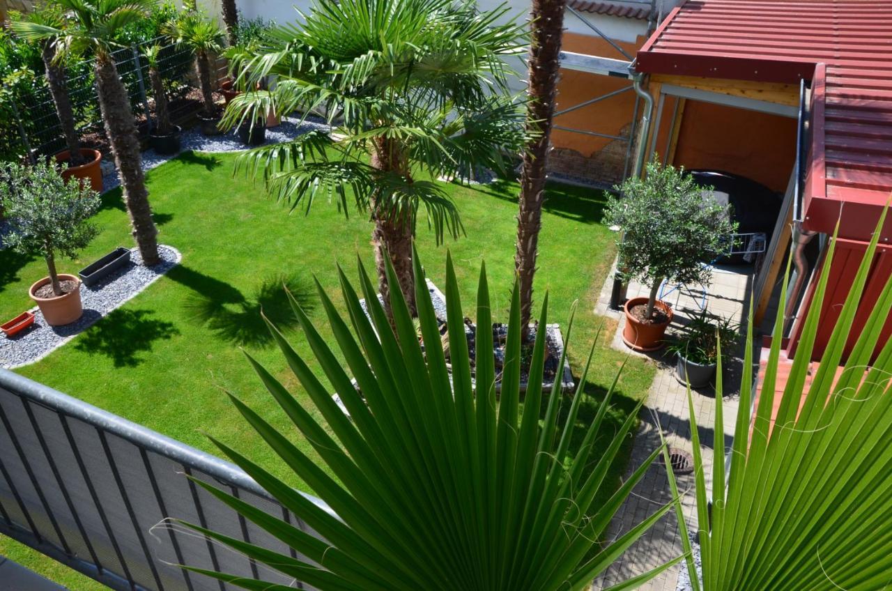 Palmgarden